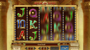 Jugada en Book of Dead en un casino online